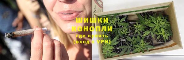ГАЛЛЮЦИНОГЕННЫЕ ГРИБЫ Коряжма